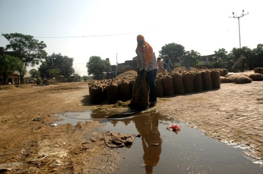 ਹੜ੍ਹਾਂ ਦਾ ਖ਼ਤਰਾ ਟਲਿਆ, ਭਾਰੀ ਮੀਂਹ ਨੇ ਫ਼ਸਲ ਝੰਬੀ